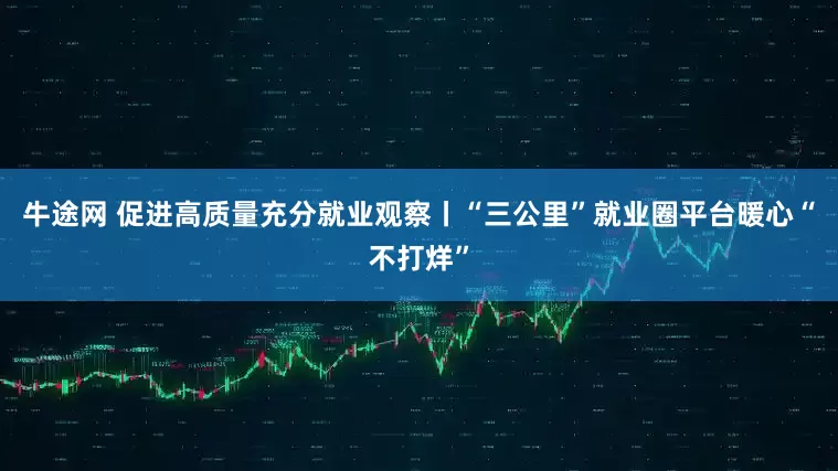 牛途网 促进高质量充分就业观察丨“三公里”就业圈平台暖心“不打烊”