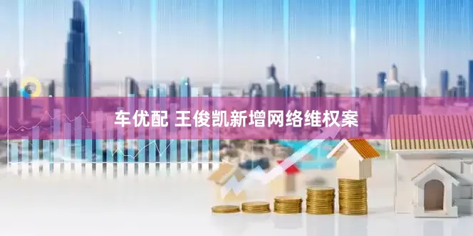 车优配 王俊凯新增网络维权案