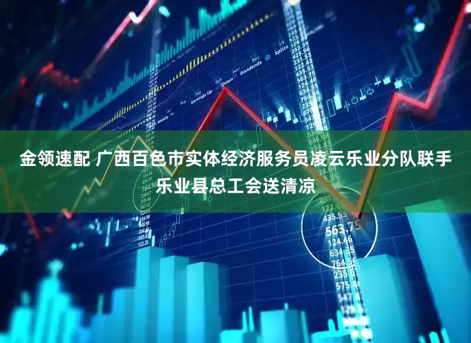 金领速配 广西百色市实体经济服务员凌云乐业分队联手乐业县总工会送清凉