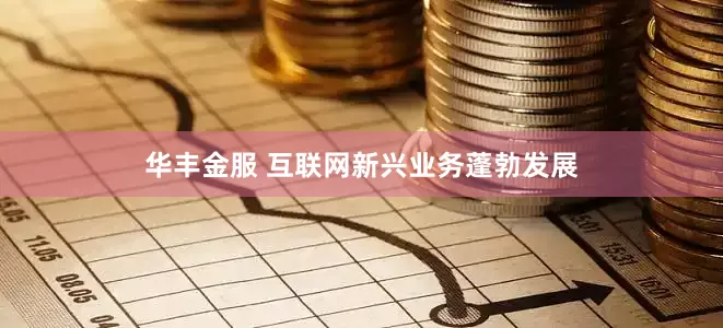 华丰金服 互联网新兴业务蓬勃发展