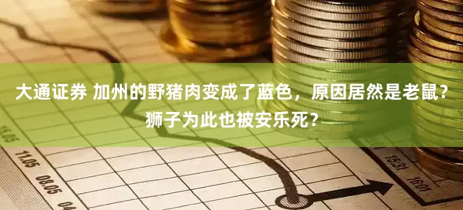 大通证券 加州的野猪肉变成了蓝色，原因居然是老鼠？狮子为此也被安乐死？