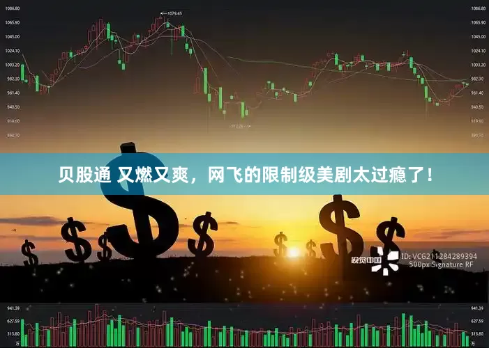 贝股通 又燃又爽，网飞的限制级美剧太过瘾了！